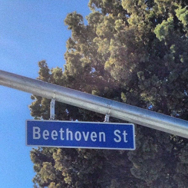 Where's the st Bernard!?maybe at Beethoven's 2nd street!