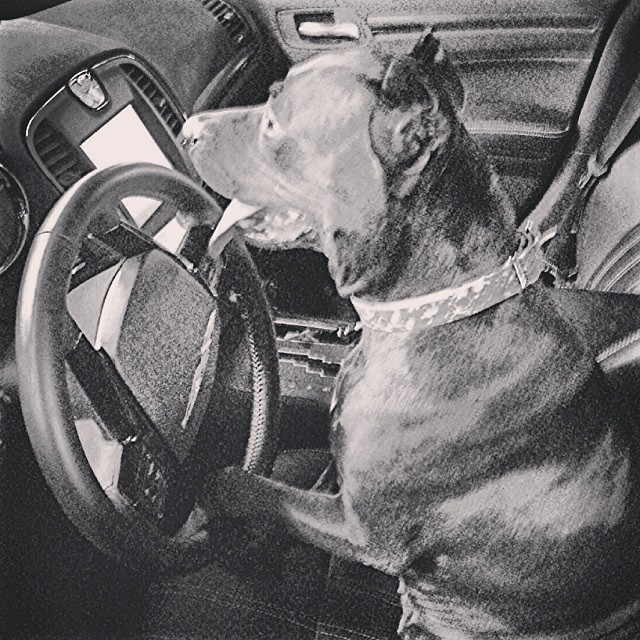 My chauffeur.