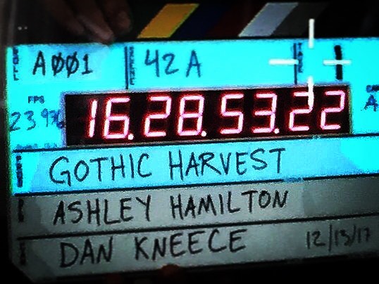 Day 1  Gothic Harvest. @dankneece